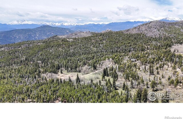 Galuchie Dr, Drake, CO 80515