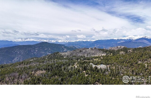 Galuchie Dr, Drake, CO 80515