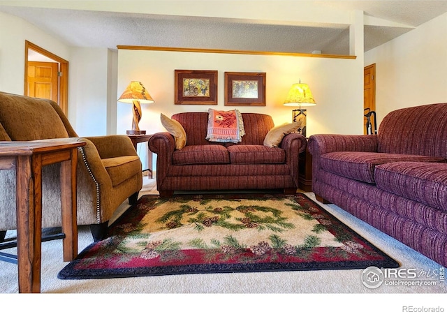 1443 Matthew Cir, Estes Park, CO 80517 - living area featuring carpet