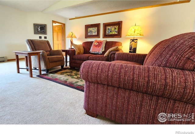 1443 Matthew Cir, Estes Park, CO 80517 - living room featuring carpet flooring and baseboard heating