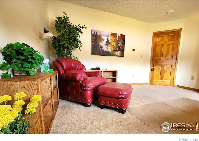 1443 Matthew Cir, Estes Park, CO 80517 - sitting room featuring carpet, a textured ceiling, and baseboards