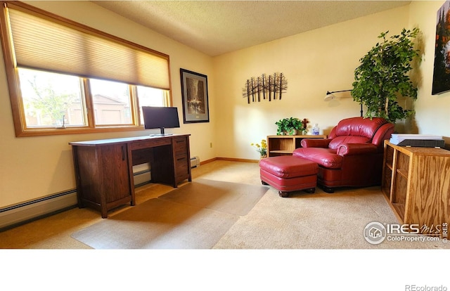 1443 Matthew Cir, Estes Park, CO 80517 - carpeted office space with a baseboard heating unit and a textured ceiling