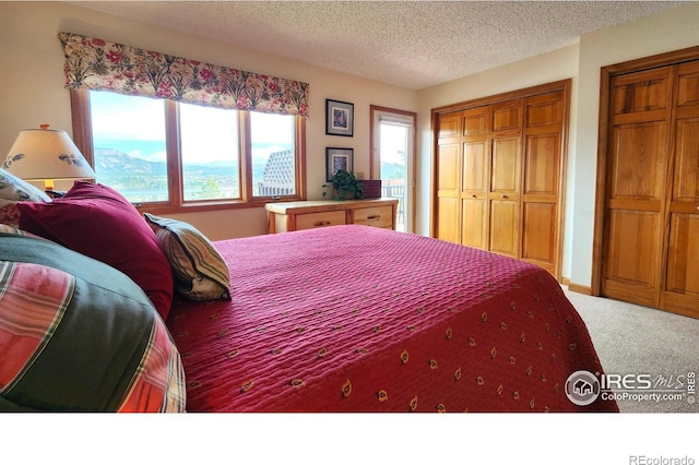 1443 Matthew Cir, Estes Park, CO 80517 - bedroom with carpet flooring and a textured ceiling