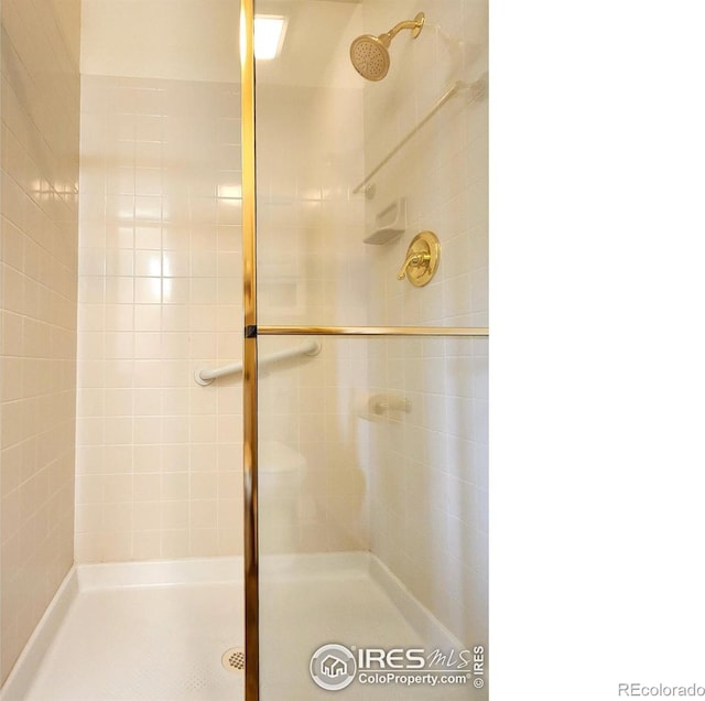 1443 Matthew Cir, Estes Park, CO 80517 - bathroom with a stall shower