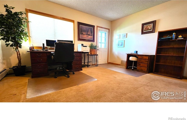 1443 Matthew Cir, Estes Park, CO 80517 - office with light carpet and a textured ceiling