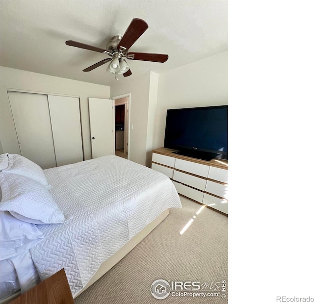 812 Tracey Pkwy, Fort Collins, CO 80524 - photo 8