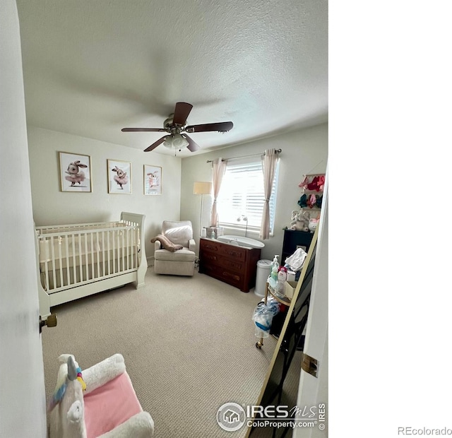 812 Tracey Pkwy, Fort Collins, CO 80524 - photo 9
