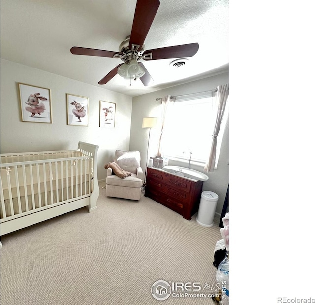 812 Tracey Pkwy, Fort Collins, CO 80524 - photo 10