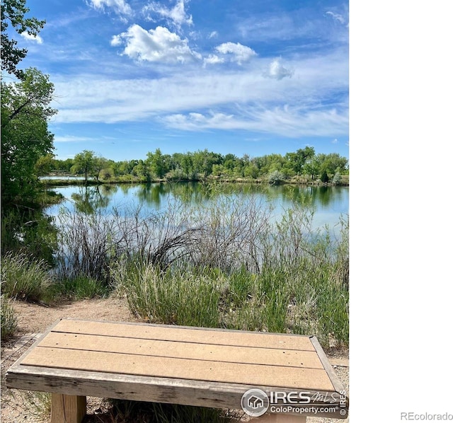 812 Tracey Pkwy, Fort Collins, CO 80524 - photo 23