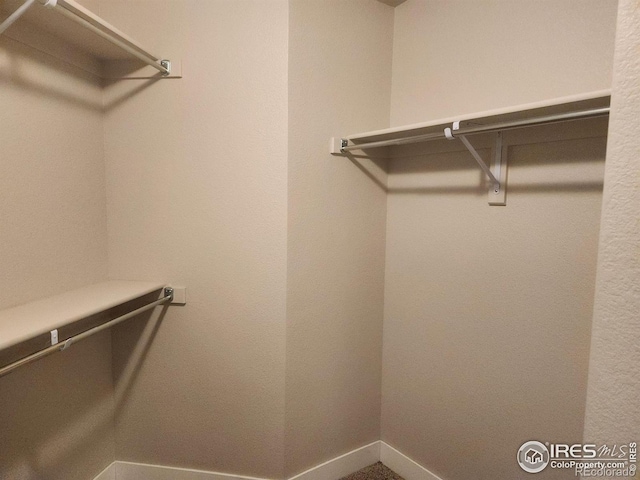 4902 Brookfield Dr Unit F, Fort Collins, CO 80528 - view of spacious closet