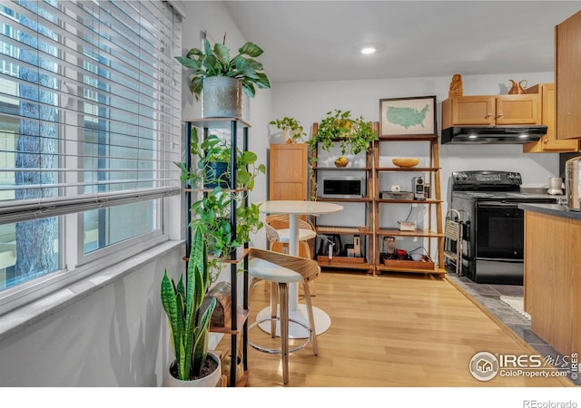 3313 Madison Ave Unit 212, Boulder, CO 80303 - kitchen with under cabinet range hood, black electric range, light wood-type flooring, stainless steel microwave, and dark countertops