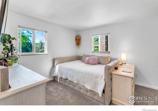 3313 Madison Ave Unit 212, Boulder, CO 80303 - bedroom with carpet flooring, multiple windows, and baseboards