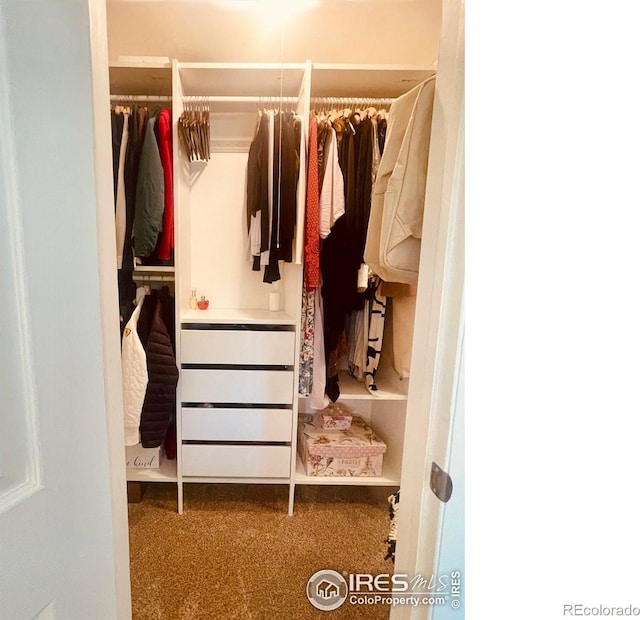 3313 Madison Ave Unit 212, Boulder, CO 80303 - view of closet