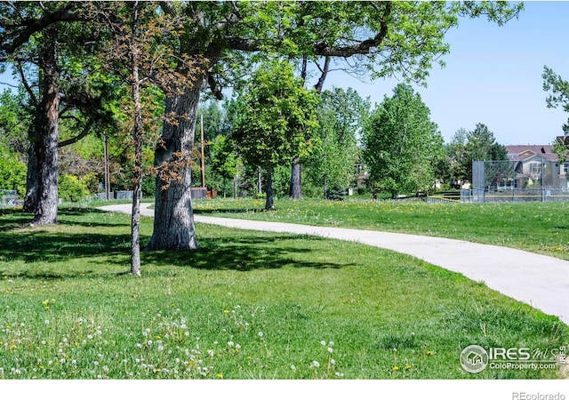 3313 Madison Ave Unit 212, Boulder, CO 80303 - view of property's community featuring a yard