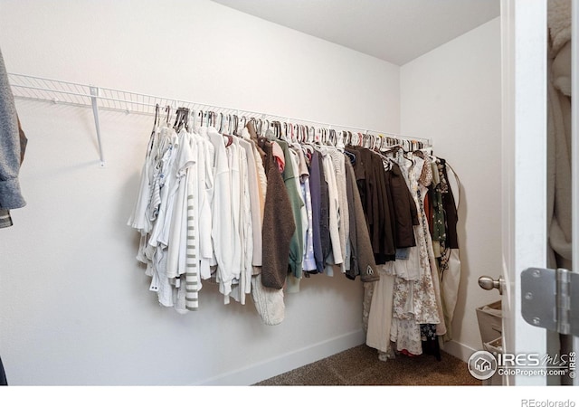 1566 Driftline Dr, Severance, CO 80550 - spacious closet featuring carpet floors