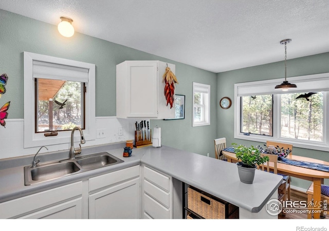 453 Black Fawn Ln, Westcliffe, CO 81252 - kitchen featuring a sink, white cabinetry, a textured ceiling, a peninsula, and light countertops