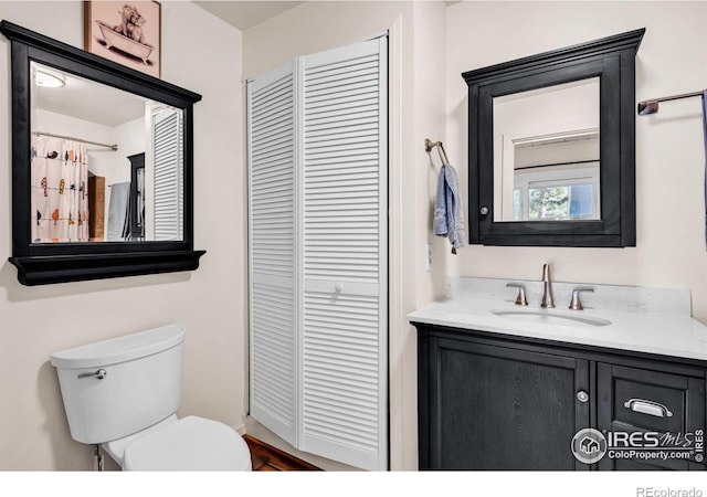 453 Black Fawn Ln, Westcliffe, CO 81252 - full bathroom with a closet, toilet, and vanity