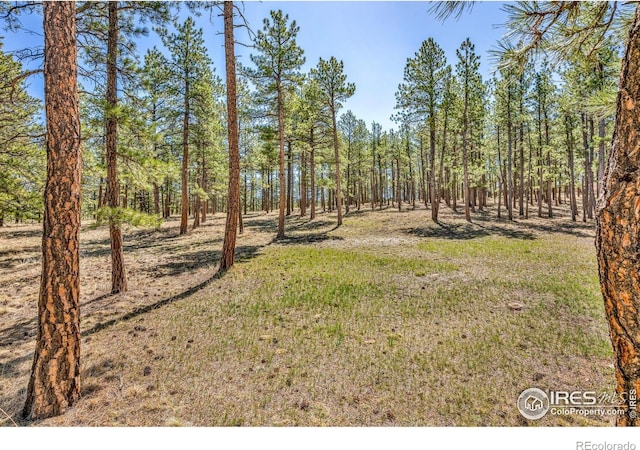 453 Black Fawn Ln, Westcliffe, CO 81252 - view of green lawn