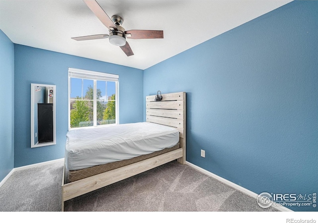 3619 Kirkwood Ln, Johnstown, CO 80534 - photo 18
