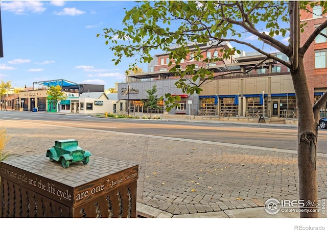 221 E Mountain Ave Unit 319, Fort Collins, CO 80524 - view of road featuring sidewalks and curbs