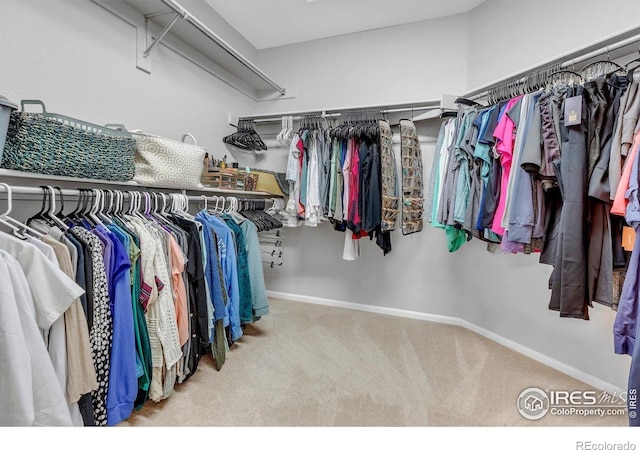 2841 Silver Pl, Superior, CO 80027 - walk in closet featuring carpet