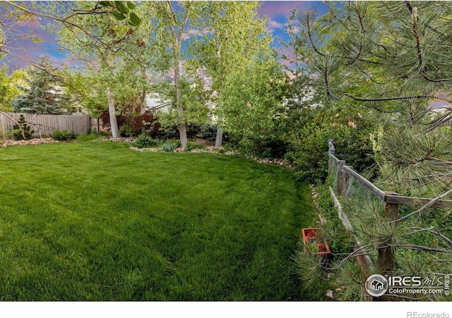 2841 Silver Pl, Superior, CO 80027 - view of yard