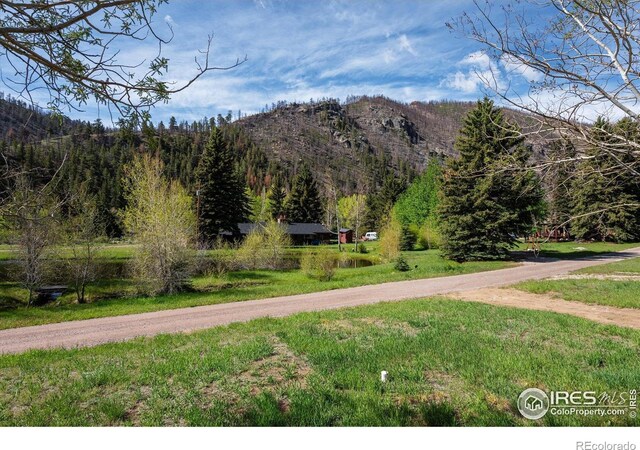50 Meadow Ln, Bellvue, CO 80512 - photo 2
