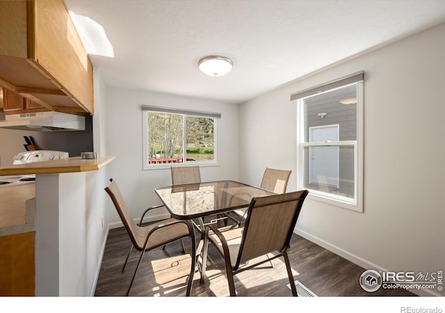 50 Meadow Ln, Bellvue, CO 80512 - photo 7