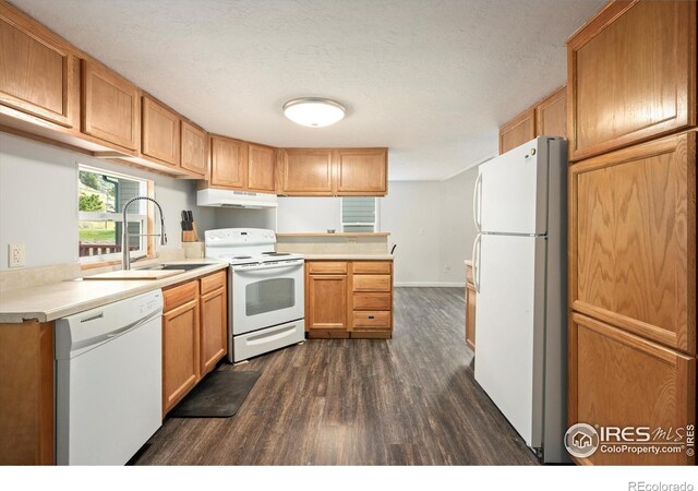50 Meadow Ln, Bellvue, CO 80512 - photo 9