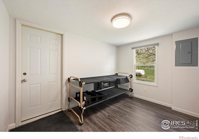 50 Meadow Ln, Bellvue, CO 80512 - photo 17