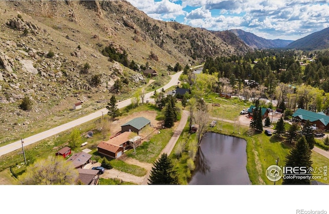 50 Meadow Ln, Bellvue, CO 80512 - photo 29