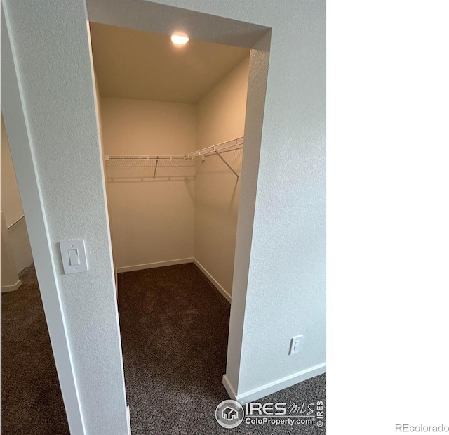 420 Condor Way, Johnstown, CO 80534 - spacious closet featuring dark carpet