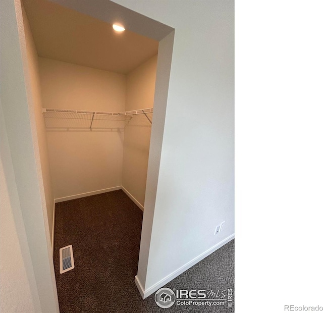 420 Condor Way, Johnstown, CO 80534 - walk in closet with carpet flooring