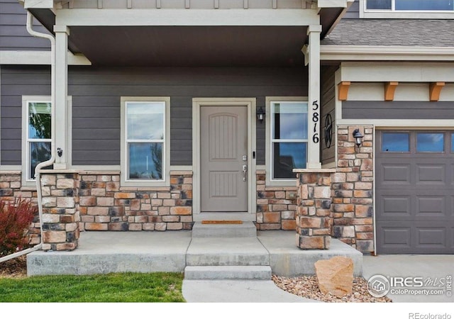 5816 Osbourne Ct, Windsor, CO 80550
