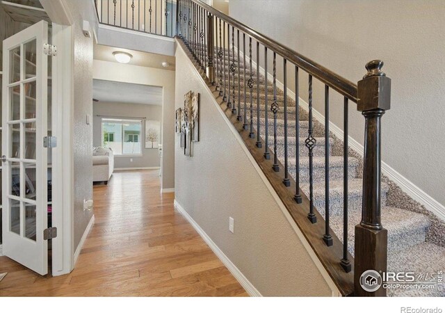 5816 Osbourne Ct, Windsor, CO 80550