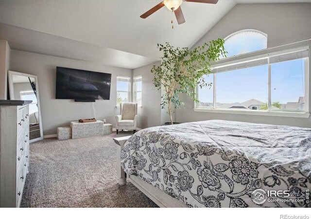 5816 Osbourne Ct, Windsor, CO 80550