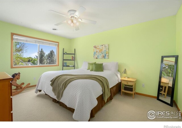 2235 Woody Creek Cir, Loveland, CO 80538 - photo 29