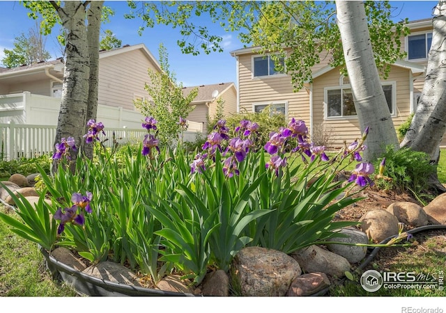2235 Woody Creek Cir, Loveland, CO 80538 - photo 36