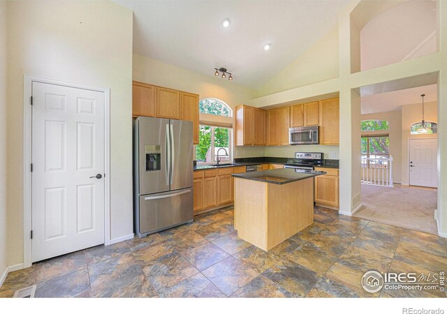 1638 E 131st Cir, Thornton, CO 80241
