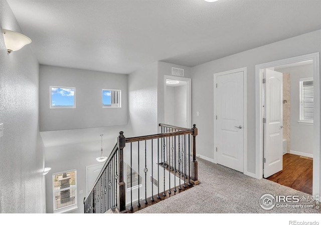 993 Ouzel Falls Rd, Severance, CO 80550 - corridor featuring an upstairs landing, baseboards, and carpet flooring