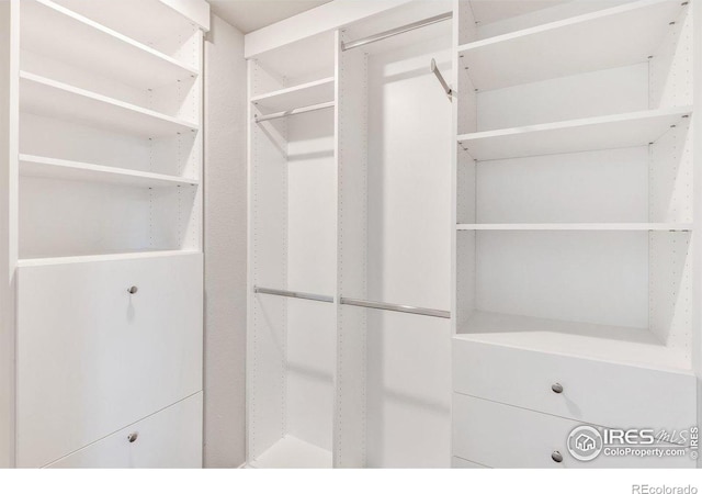 993 Ouzel Falls Rd, Severance, CO 80550 - view of walk in closet