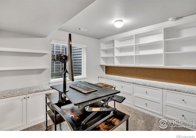993 Ouzel Falls Rd, Severance, CO 80550 - home office with a textured ceiling and light colored carpet