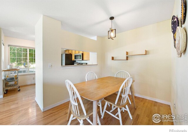 930 Button Rock Dr Unit 28, Longmont, CO 80504 - photo 9