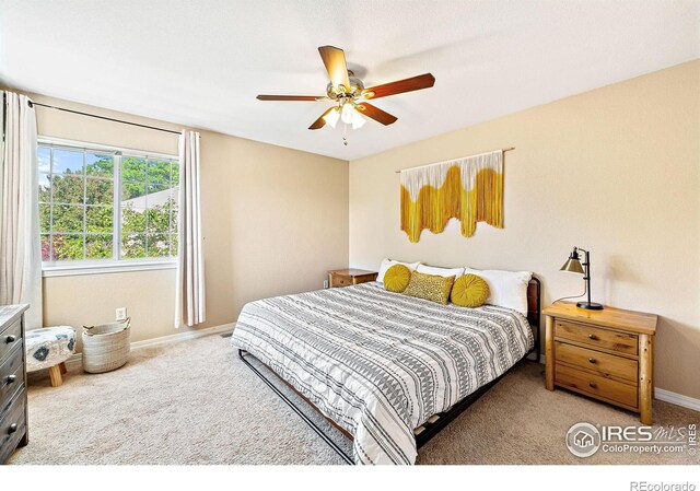 930 Button Rock Dr Unit 28, Longmont, CO 80504 - photo 16