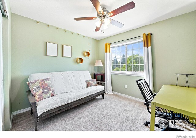 930 Button Rock Dr Unit 28, Longmont, CO 80504 - photo 19