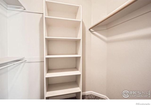 520 N Harding Ave, Johnstown, CO 80534 - walk in closet with carpet flooring