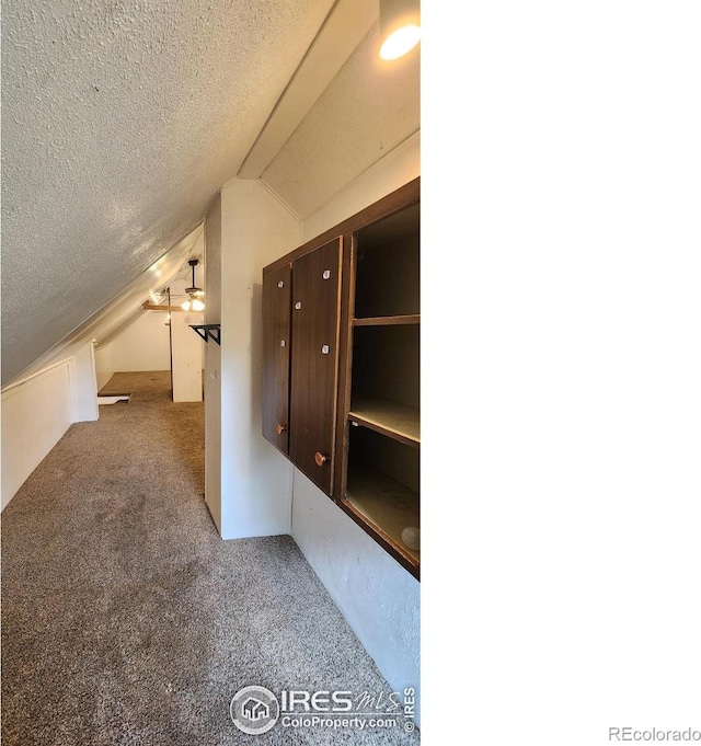 305 Phelps St, Sterling, CO 80751 - bonus room featuring vaulted ceiling, a textured ceiling, and carpet floors
