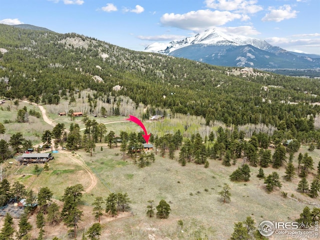 839 Ski Rd, Allenspark, CO 80510 - aerial overview of property's location with a mountain backdrop and a forest