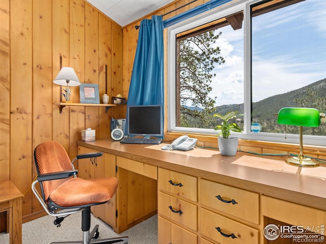 839 Ski Rd, Allenspark, CO 80510 - office area with built in desk, wooden walls, and carpet floors