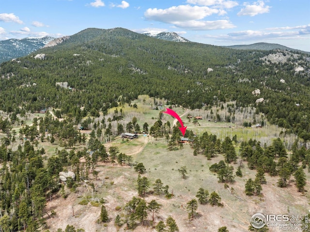 839 Ski Rd, Allenspark, CO 80510 - mountain view featuring a forest